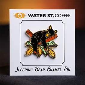 Custom pin packaging with backer card